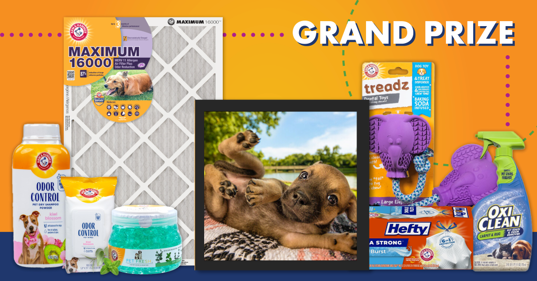 Grand Prize Winner 2026