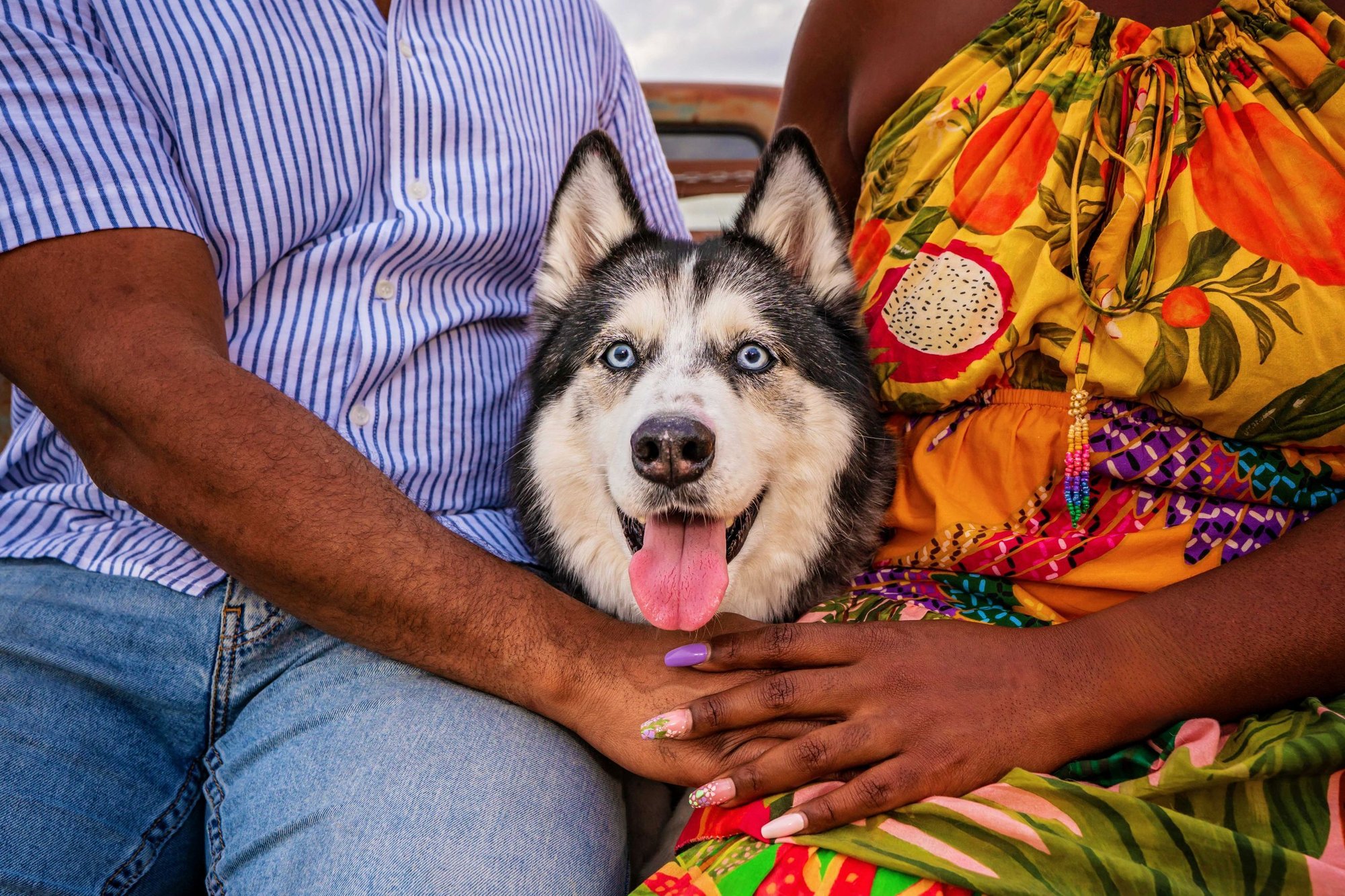 couple holding hands in front of their husky dog